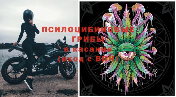 спайс Алзамай