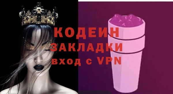 хмурый Алексин