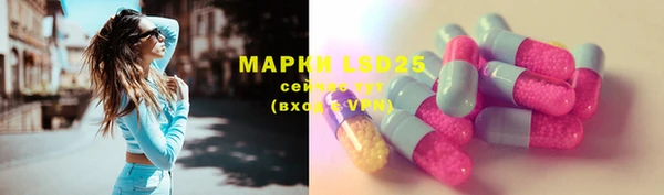 хмурый Алексин