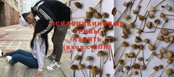 хмурый Алексин