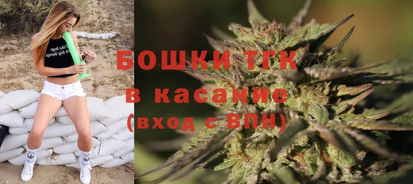 хмурый Алексин
