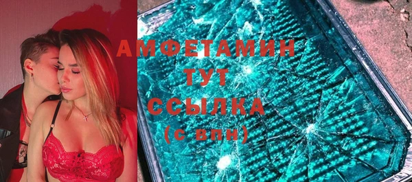 хмурый Алексин