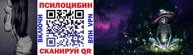 кракен как войти  Октябрьский  Псилоцибиновые грибы Psilocybine cubensis  наркошоп 
